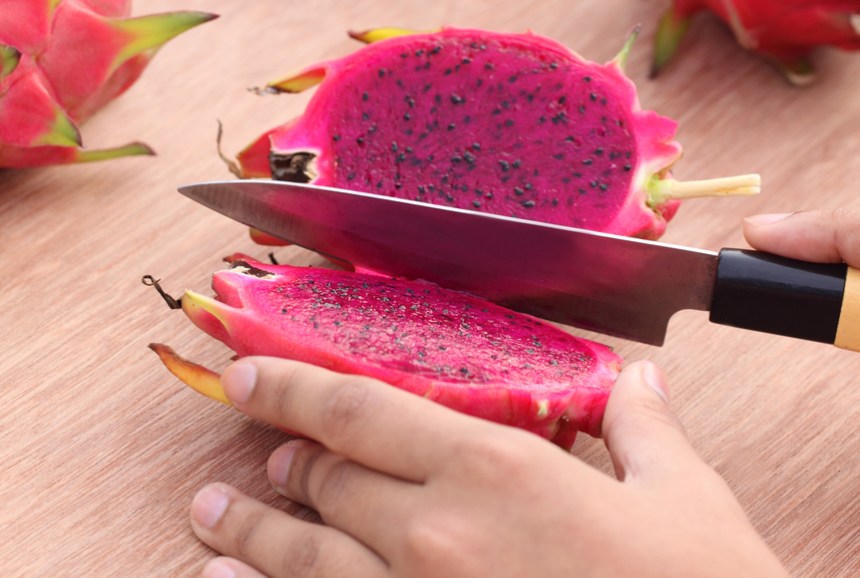 © Depositphotos/bdspn74